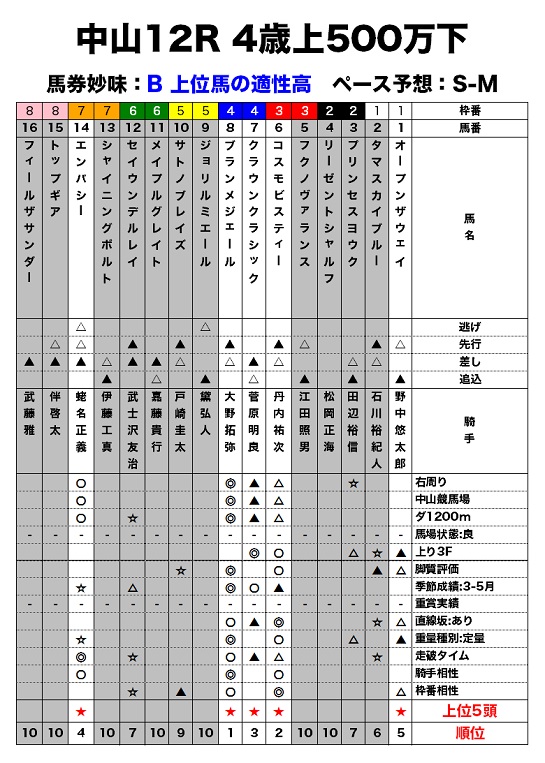 中山12R 4歳上500万下のレース適性評価